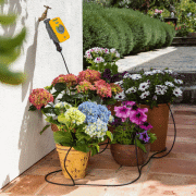 Drip irrigation is allowed